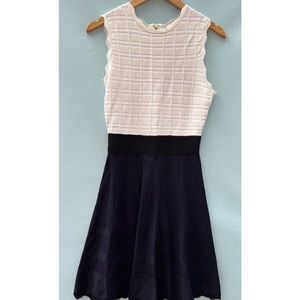 Ted Baker Polino Dress